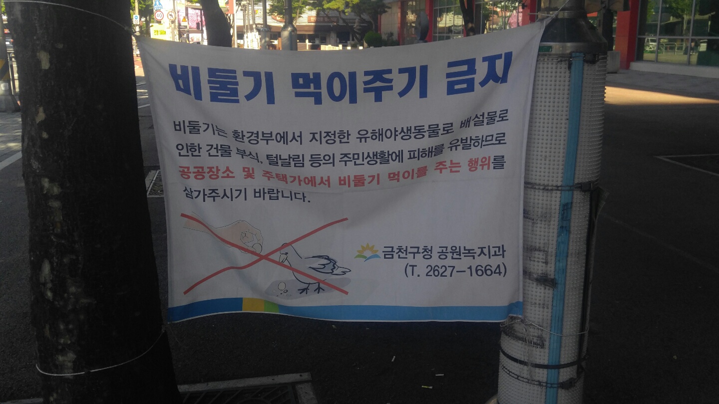 비둘기 먹이주기 금지(사진=서동휘 기자)